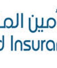 United Insurance Company